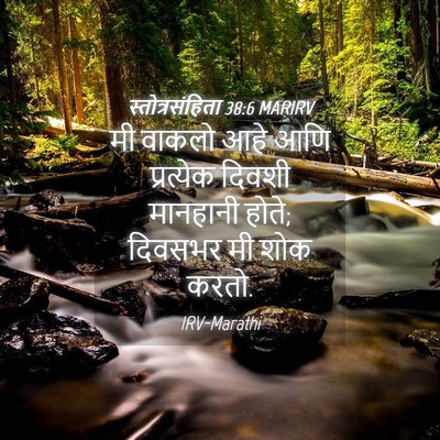 Picture 04 - स्तोत्रसंहिता 38:6 MARIRV - मी वाकलो आहे आणि - Bible Verse Picture