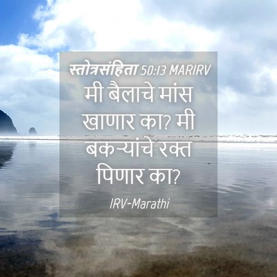 Picture 04 - स्तोत्रसंहिता 50:13 MARIRV - मी बैलाचे मांस - Bible Verse Picture