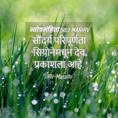 Picture 04 - स्तोत्रसंहिता 50:2 MARIRV - सौंदर्य - Bible Verse Picture