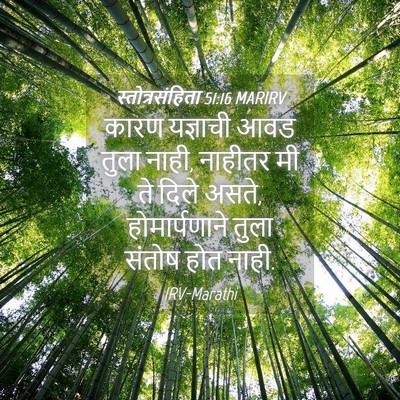 Picture 04 - स्तोत्रसंहिता 51:16 MARIRV - कारण यज्ञाची आवड - Bible Verse Picture