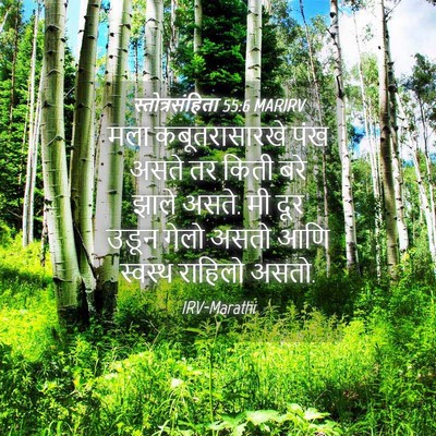 Picture 04 - स्तोत्रसंहिता 55:6 MARIRV - मला कबूतरासारखे - Bible Verse Picture