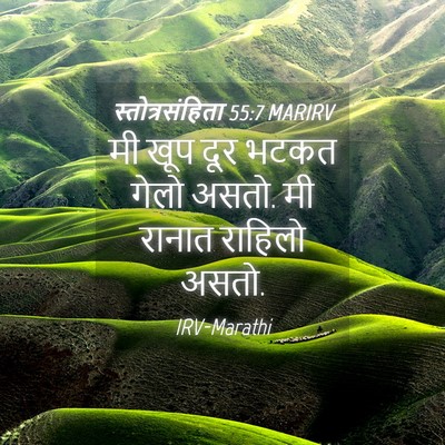 Picture 04 - स्तोत्रसंहिता 55:7 MARIRV - मी खूप दूर भटकत - Bible Verse Picture