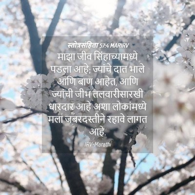 Picture 04 - स्तोत्रसंहिता 57:4 MARIRV - माझा जीव - Bible Verse Picture