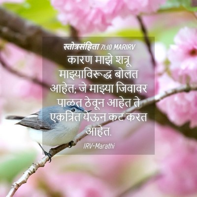 Picture 04 - स्तोत्रसंहिता 71:10 MARIRV - कारण माझे शत्रू - Bible Verse Picture