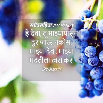 Picture 04 - स्तोत्रसंहिता 71:12 MARIRV - हे देवा, तू - Bible Verse Picture
