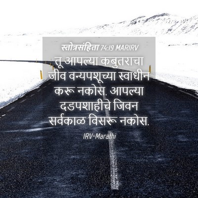 Picture 04 - स्तोत्रसंहिता 74:19 MARIRV - तू आपल्या - Bible Verse Picture