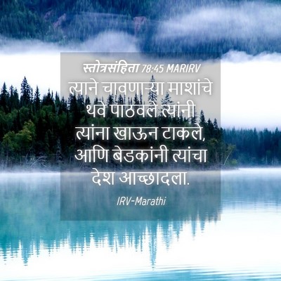 Picture 04 - स्तोत्रसंहिता 78:45 MARIRV - त्याने चावणाऱ्या - Bible Verse Picture