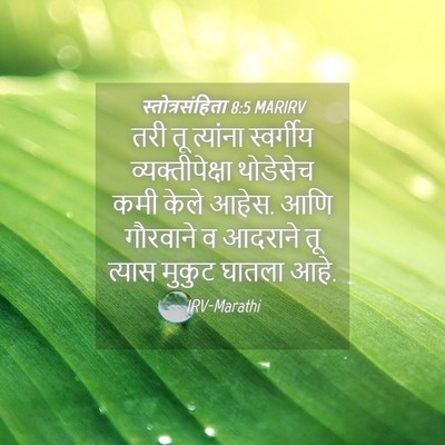 Picture 04 - स्तोत्रसंहिता 8:5 MARIRV - तरी तू त्यांना - Bible Verse Picture