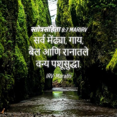 Picture 04 - स्तोत्रसंहिता 8:7 MARIRV - सर्व मेंढ्या, गाय, - Bible Verse Picture