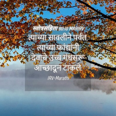 Picture 04 - स्तोत्रसंहिता 80:10 MARIRV - त्याच्या सावलीने - Bible Verse Picture