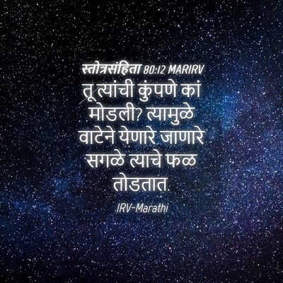 Picture 04 - स्तोत्रसंहिता 80:12 MARIRV - तू त्यांची कुंपणे - Bible Verse Picture