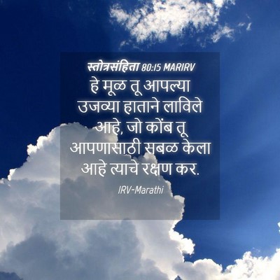 Picture 04 - स्तोत्रसंहिता 80:15 MARIRV - हे मूळ तू आपल्या - Bible Verse Picture