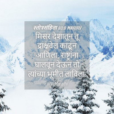 Picture 04 - स्तोत्रसंहिता 80:8 MARIRV - मिसर देशातून तू - Bible Verse Picture