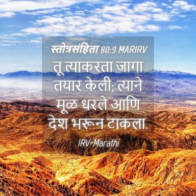 Picture 04 - स्तोत्रसंहिता 80:9 MARIRV - तू त्याकरता जागा - Bible Verse Picture