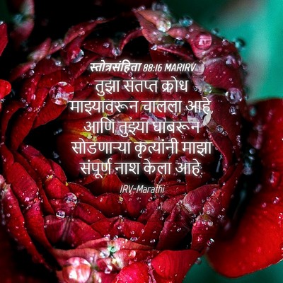 Picture 04 - स्तोत्रसंहिता 88:16 MARIRV - तुझा संतप्त क्रोध - Bible Verse Picture