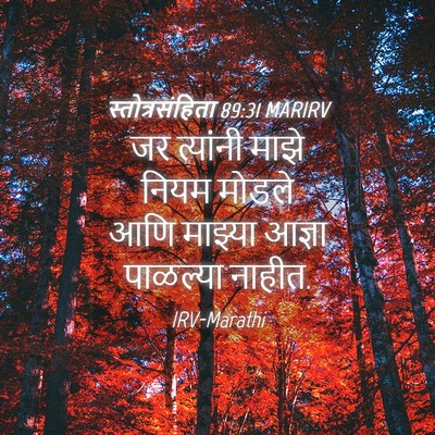 Picture 04 - स्तोत्रसंहिता 89:31 MARIRV - जर त्यांनी माझे - Bible Verse Picture