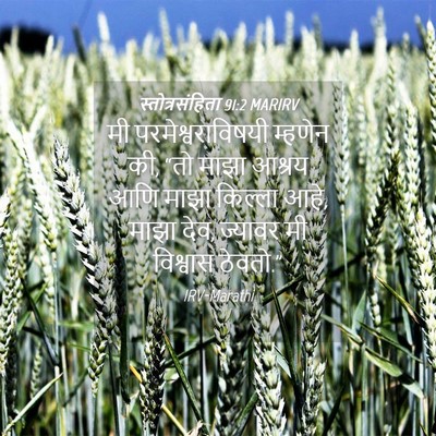 Picture 04 - स्तोत्रसंहिता 91:2 MARIRV - मी परमेश्वराविषयी - Bible Verse Picture