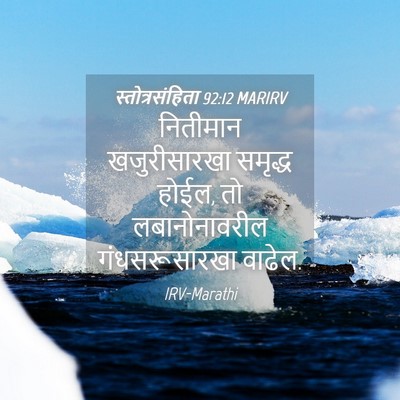 Picture 04 - स्तोत्रसंहिता 92:12 MARIRV - नितीमान - Bible Verse Picture