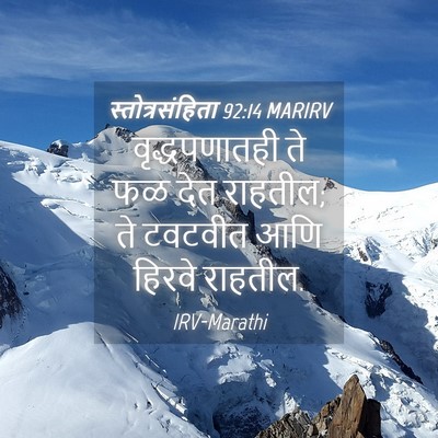 Picture 04 - स्तोत्रसंहिता 92:14 MARIRV - वृद्धपणातही ते फळ - Bible Verse Picture