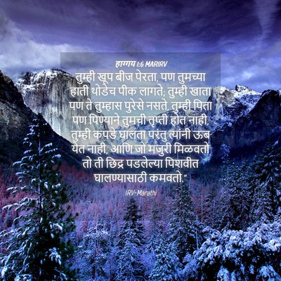 Picture 04 - हाग्गय 1:6 MARIRV - तुम्ही खूप बीज - Bible Verse Picture