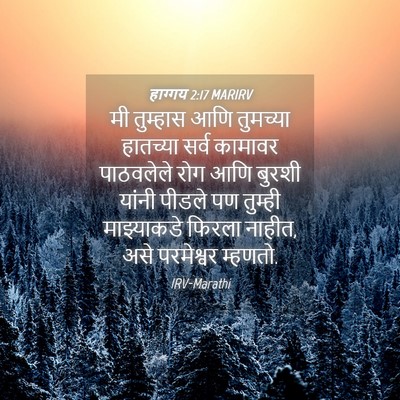 Picture 04 - हाग्गय 2:17 MARIRV - मी तुम्हास आणि - Bible Verse Picture