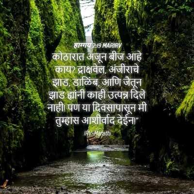 Picture 04 - हाग्गय 2:19 MARIRV - कोठारात अजून बीज - Bible Verse Picture