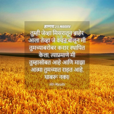 Picture 04 - हाग्गय 2:5 MARIRV - तुम्ही जेव्हा - Bible Verse Picture