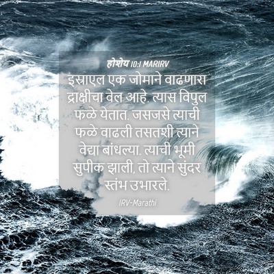 Picture 04 - होशेय 10:1 MARIRV - इस्राएल एक जोमाने - Bible Verse Picture