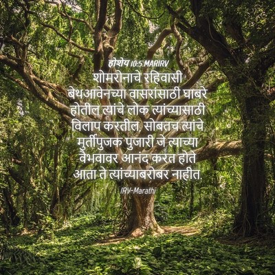 Picture 04 - होशेय 10:5 MARIRV - शोमरोनाचे रहिवासी - Bible Verse Picture