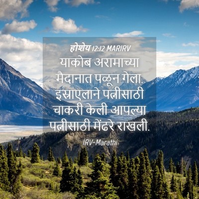 Picture 04 - होशेय 12:12 MARIRV - याकोब अरामाच्या - Bible Verse Picture