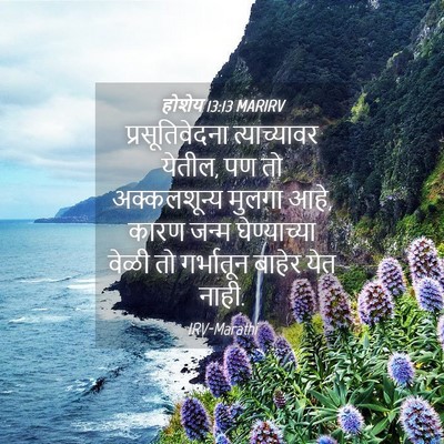 Picture 04 - होशेय 13:13 MARIRV - प्रसूतिवेदना - Bible Verse Picture