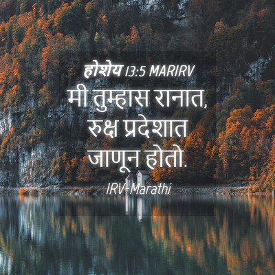 Picture 04 - होशेय 13:5 MARIRV - मी तुम्हास रानात, - Bible Verse Picture