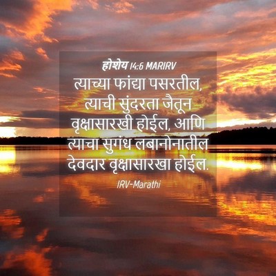 Picture 04 - होशेय 14:6 MARIRV - त्याच्या फांद्या - Bible Verse Picture