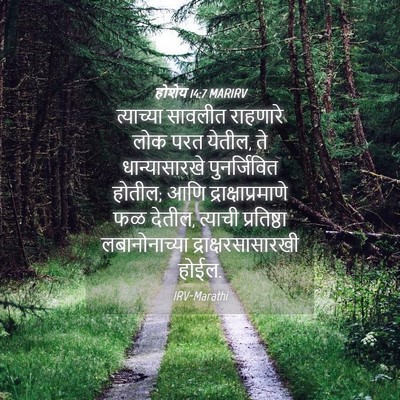 Picture 04 - होशेय 14:7 MARIRV - त्याच्या सावलीत - Bible Verse Picture