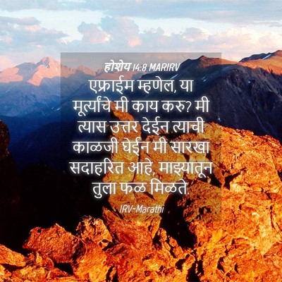 Picture 04 - होशेय 14:8 MARIRV - एफ्राईम म्हणेल, या - Bible Verse Picture