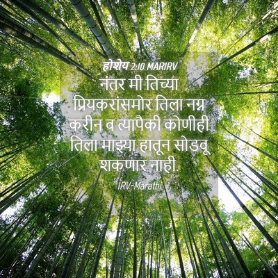 Picture 04 - होशेय 2:10 MARIRV - नंतर मी तिच्या - Bible Verse Picture