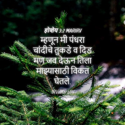 Picture 04 - होशेय 3:2 MARIRV - म्हणून मी पंधरा - Bible Verse Picture