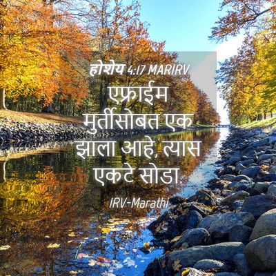 Picture 04 - होशेय 4:17 MARIRV - एफ्राईम - Bible Verse Picture