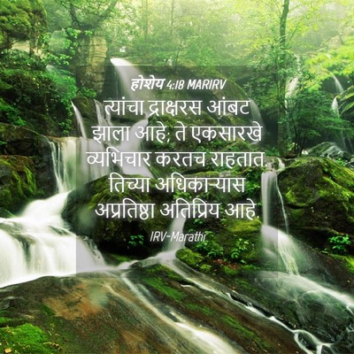 Picture 04 - होशेय 4:18 MARIRV - त्यांचा द्राक्षरस - Bible Verse Picture