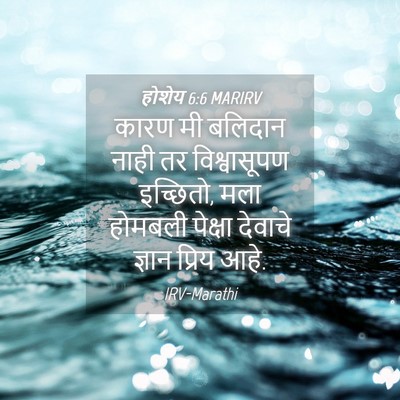 Picture 04 - होशेय 6:6 MARIRV - कारण मी बलिदान - Bible Verse Picture