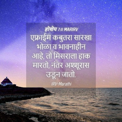 Picture 04 - होशेय 7:11 MARIRV - एफ्राईम कबुतरा - Bible Verse Picture