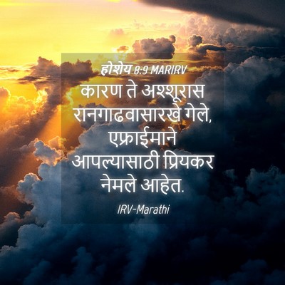 Picture 04 - होशेय 8:9 MARIRV - कारण ते अश्शूरास - Bible Verse Picture