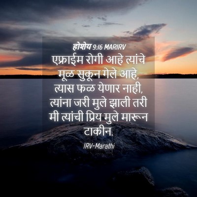 Picture 04 - होशेय 9:16 MARIRV - एफ्राईम रोगी आहे - Bible Verse Picture