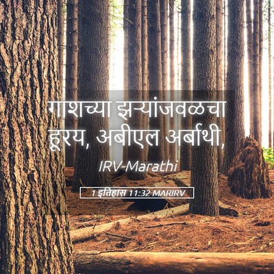 Picture 05 - 1 इतिहास 11:32 MARIRV - गाशच्या - Bible Verse Picture