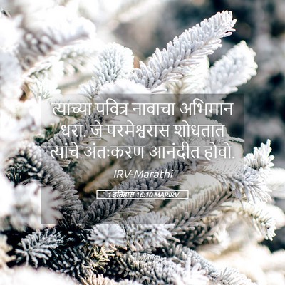 Picture 05 - 1 इतिहास 16:10 MARIRV - त्याच्या पवित्र - Bible Verse Picture