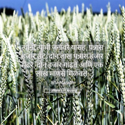 Picture 05 - 1 इतिहास 5:21 MARIRV - त्यांनी त्यांची - Bible Verse Picture