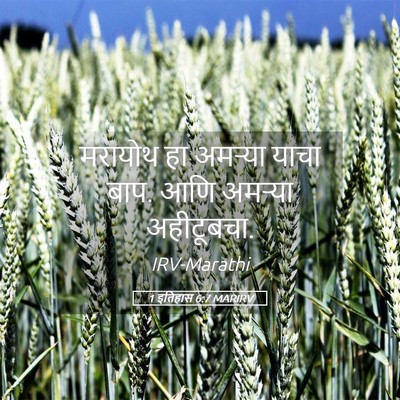 Picture 05 - 1 इतिहास 6:7 MARIRV - मरायोथ हा अमऱ्या - Bible Verse Picture