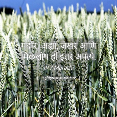 Picture 05 - 1 इतिहास 8:31 MARIRV - गदोर, अह्यो, जेखर - Bible Verse Picture