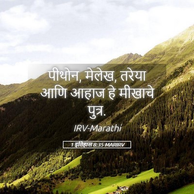 Picture 05 - 1 इतिहास 8:35 MARIRV - पीथोन, मेलेख, तरेया - Bible Verse Picture
