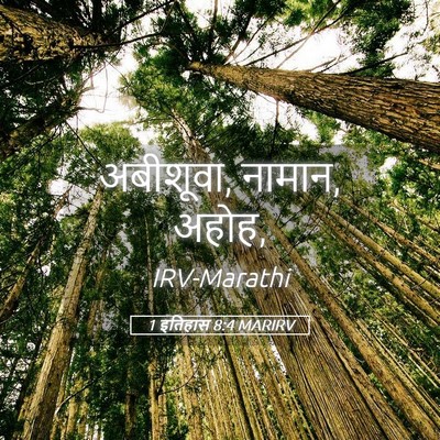 Picture 05 - 1 इतिहास 8:4 MARIRV - अबीशूवा, नामान, - Bible Verse Picture